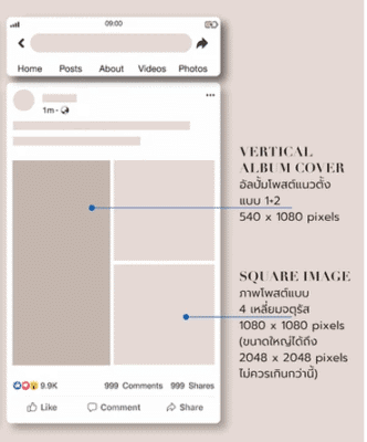 ขนาดรูป อัลบั้ม + ปกแนวตั้ง