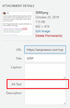 ALT Text lsi keywords