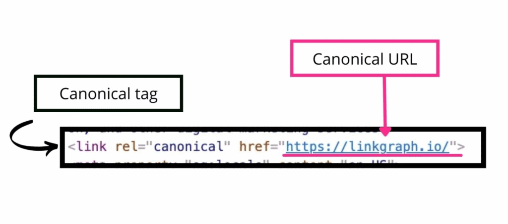 Canonical tag vs Canonical URL
