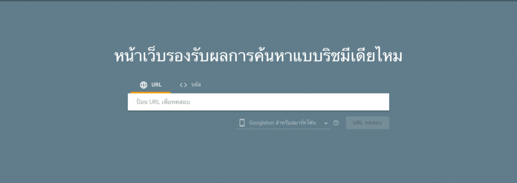 เครื่องมือของทาง Google ในการตรวจสอบ ชื่อว่า Rich Result Test