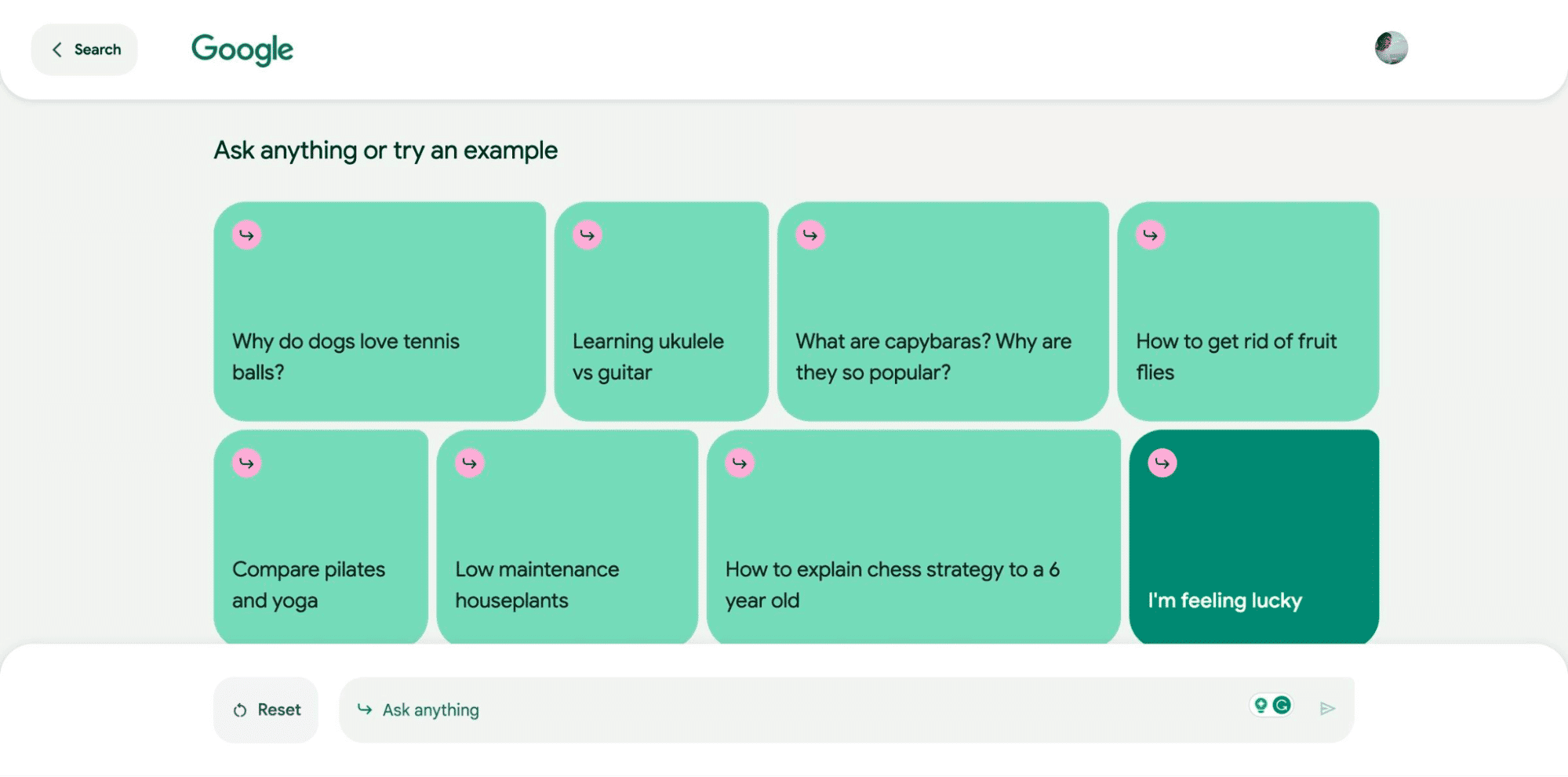 Search Generative Experience Conversational mode