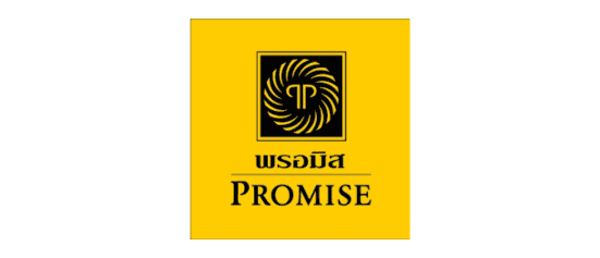 seo-promise