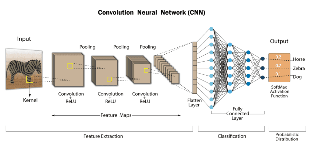 Convolutional Neural Network (CNN)